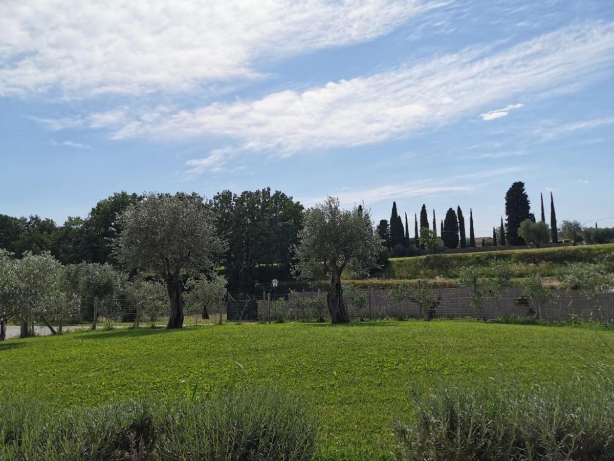 B&B Luna Nuova Sarzana Buitenkant foto